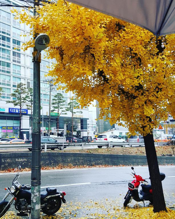 Feliz Guesthouse, Seoul Station Bagian luar foto